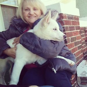 Meet your Posher, Dawna